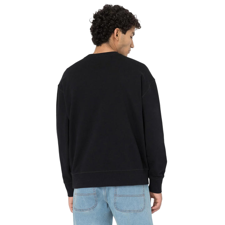 DK0A4YLZ - Felpe - Dickies