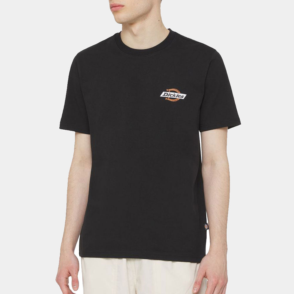 DK0A4XDC - T-Shirt e Polo - Dickies