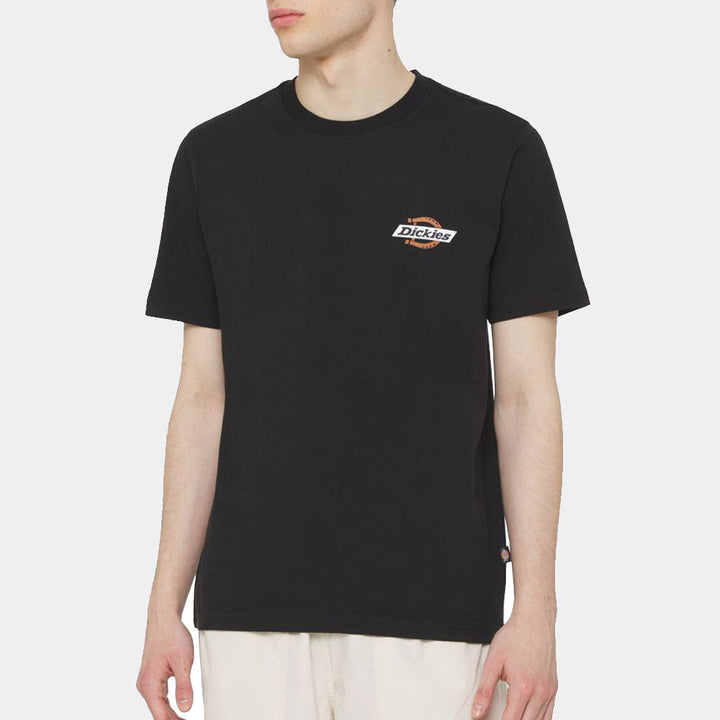 DK0A4XDC - T-Shirt e Polo - Dickies