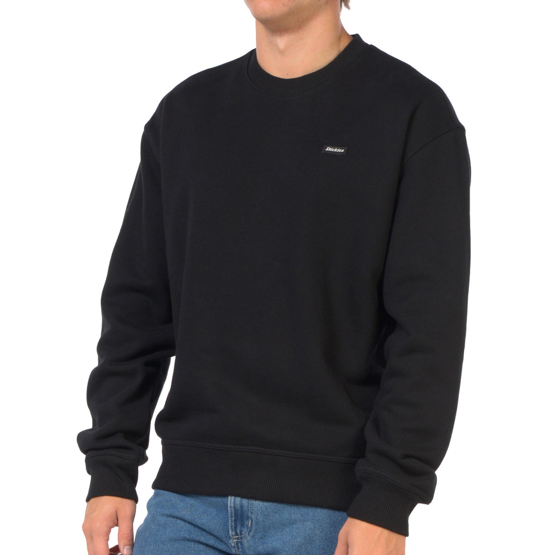 DK0A88BL - Felpe - Dickies