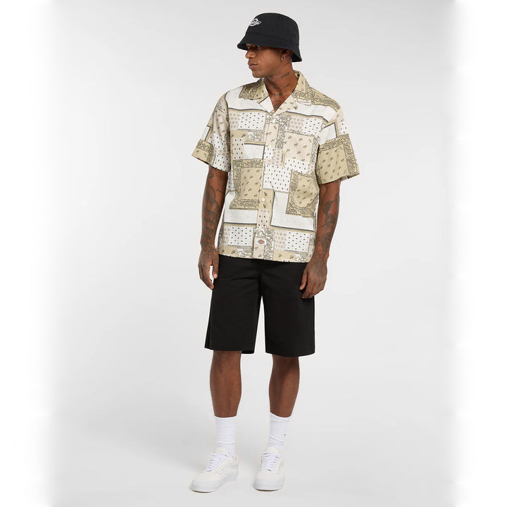 DK0A889TC481 - Camicie - Dickies