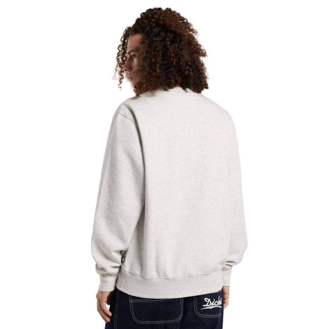 DK0A4Y6Q - Felpe - Dickies