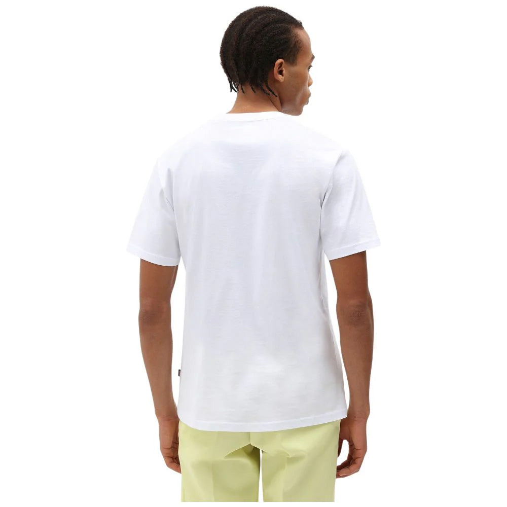 DK0A4XDBWHX1 - T-Shirt e Polo - Dickies