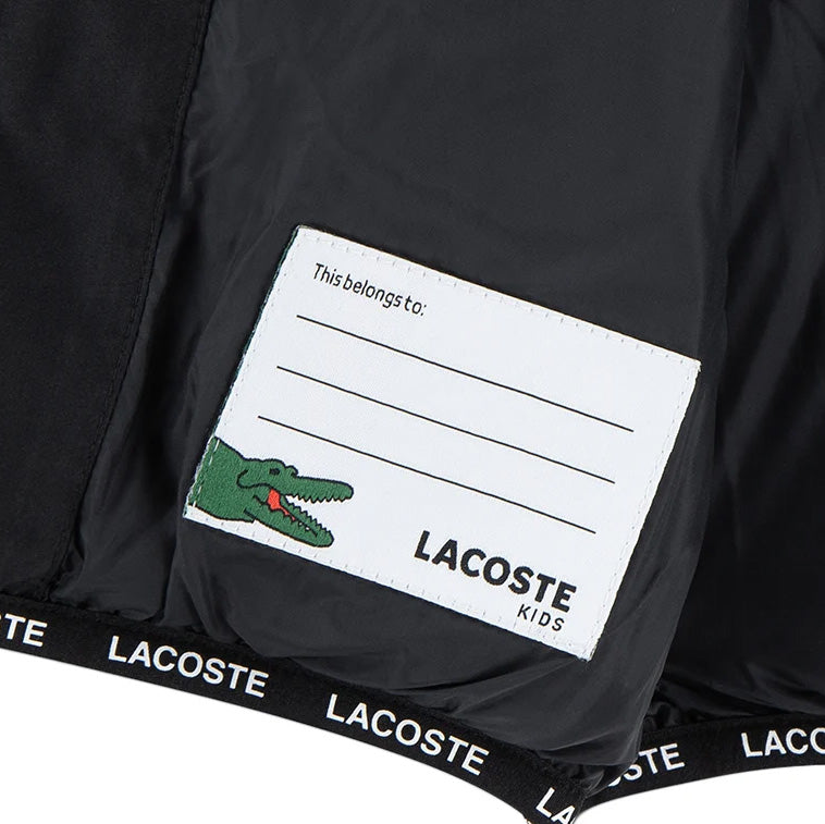 947769 - GIUBBINI - Lacoste