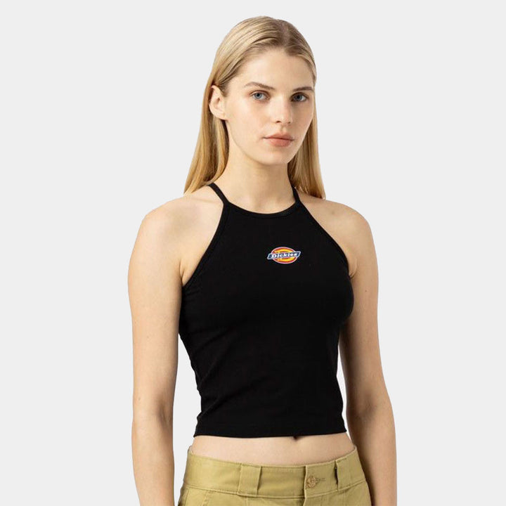 DK0A4XNP - Maglieria - Dickies