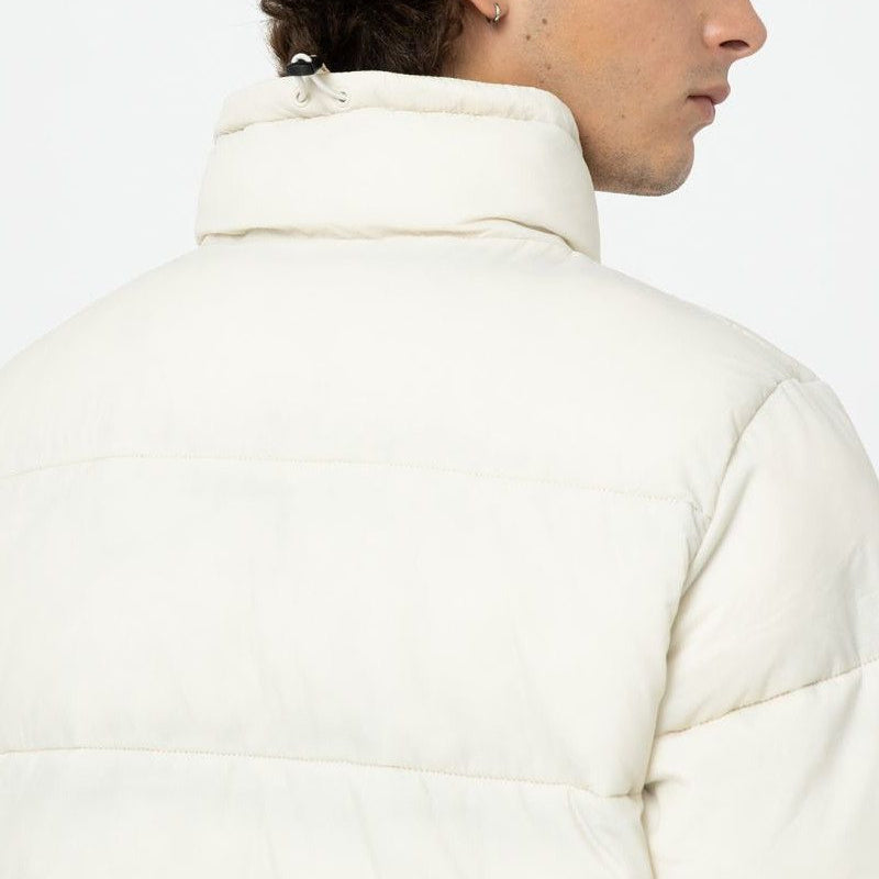 DK0A4XP2 - Jackets - Dickies