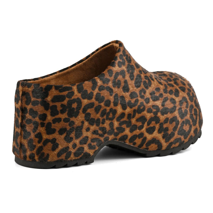HC.SIERRA03 - Zoccolo - Colors Of California