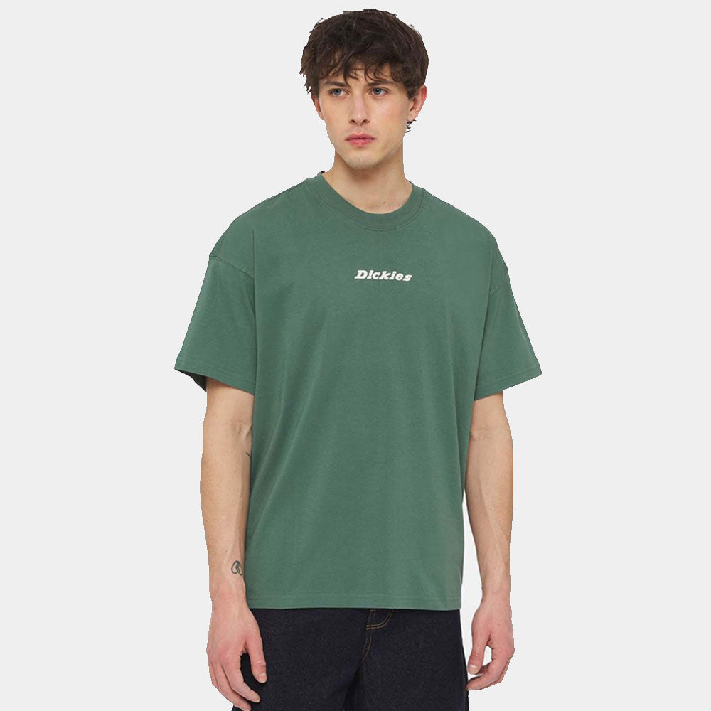 DK0A4YRN - T-Shirt e Polo - Dickies