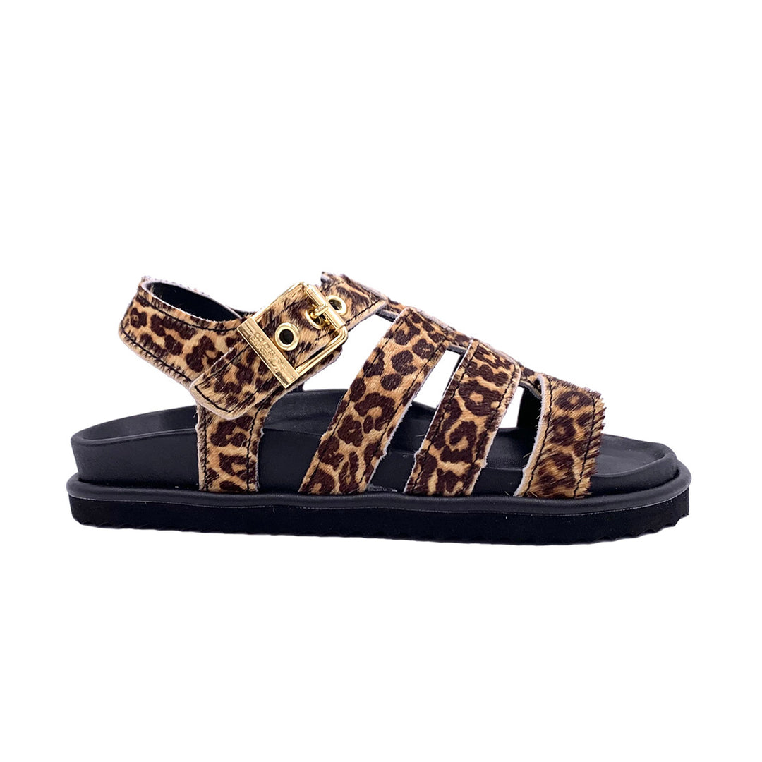 HC.BIOW605 - Ciabatta - Colors Of California