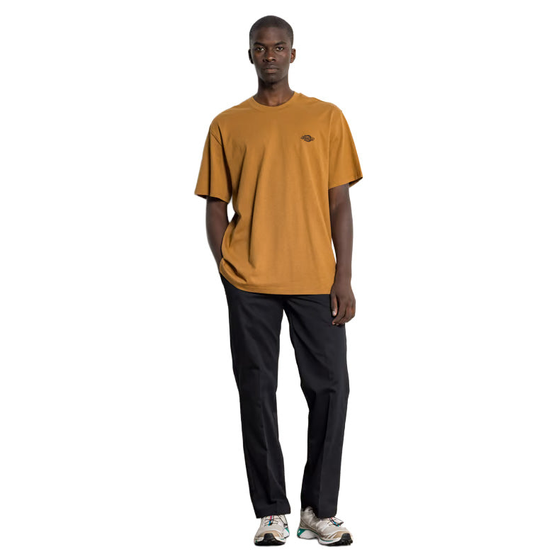 DK0A4YAI - T-Shirt e Polo - Dickies
