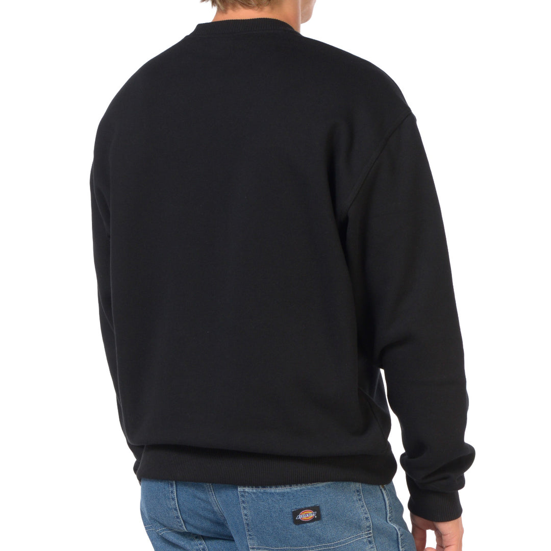 DK0A88BL - Felpe - Dickies