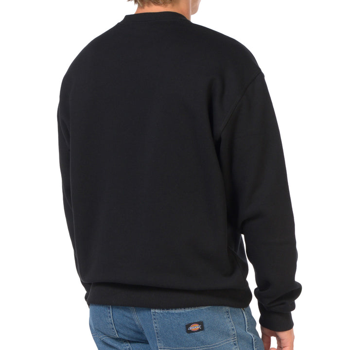 DK0A88BL - Felpe - Dickies