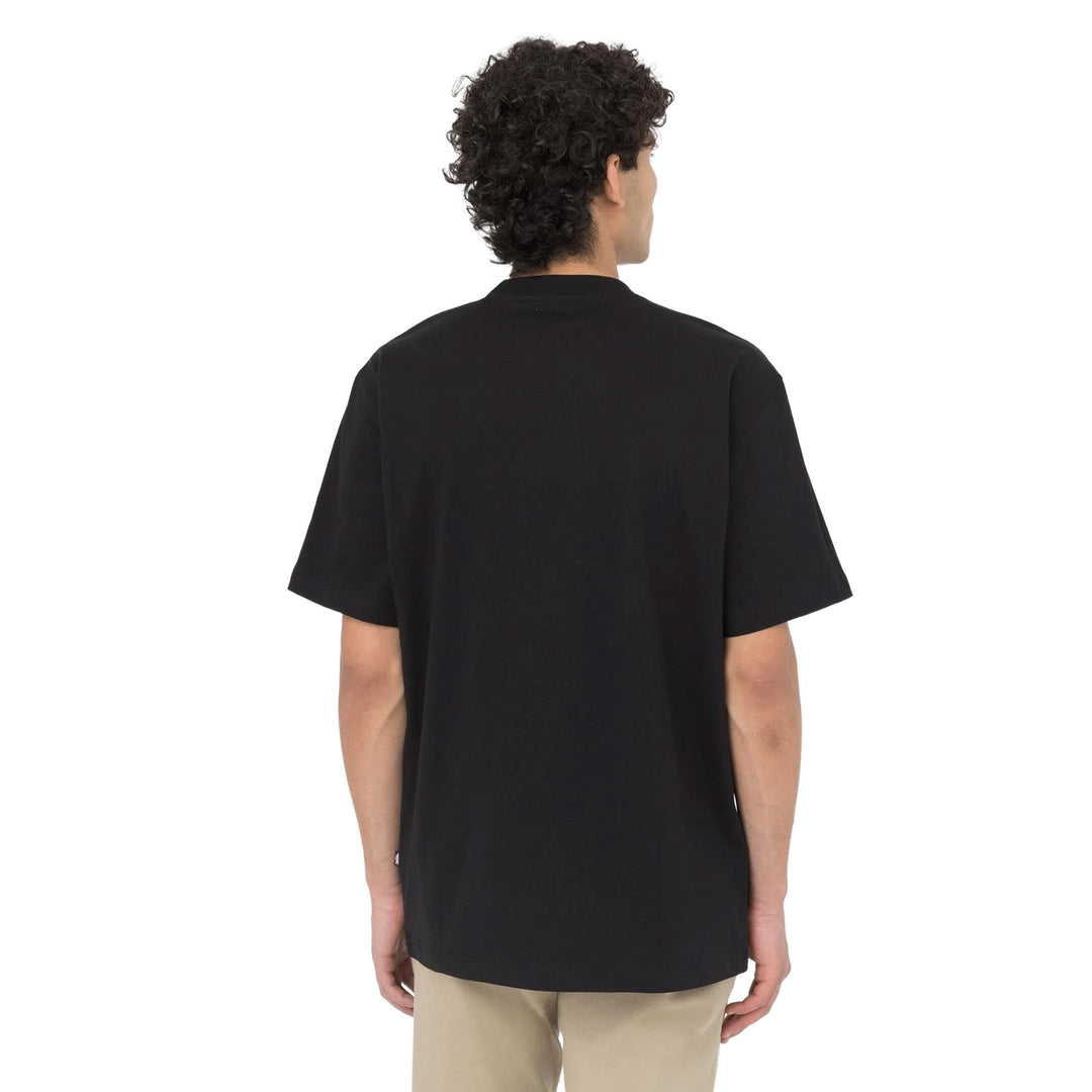 DK0A4YAI - T-Shirt e Polo - Dickies
