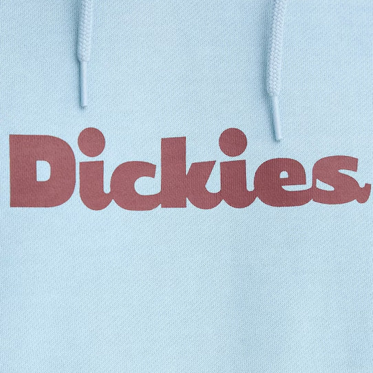 DK0A87NP - Felpe - Dickies
