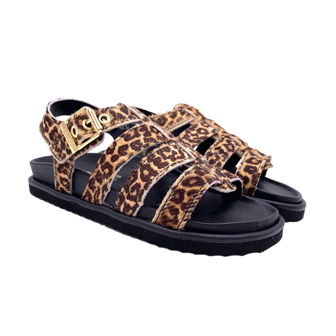 HC.BIOW605 - Ciabatta - Colors Of California
