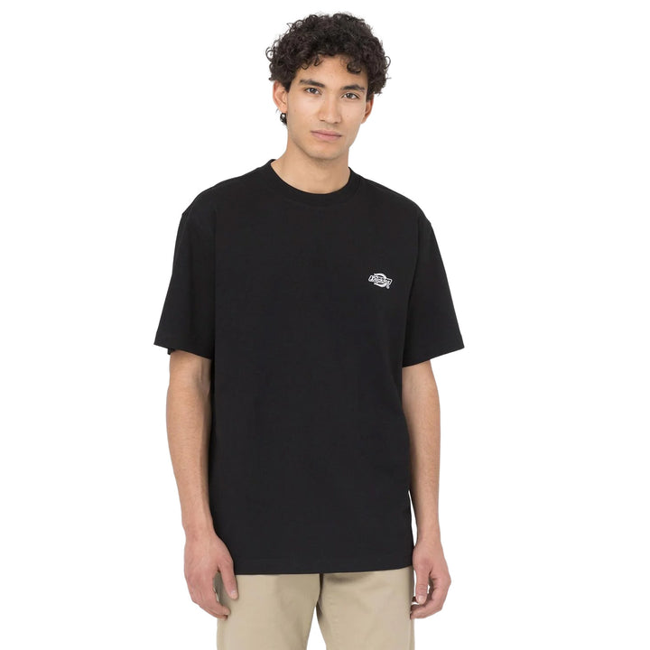 DK0A4YAI - T-Shirt e Polo - Dickies