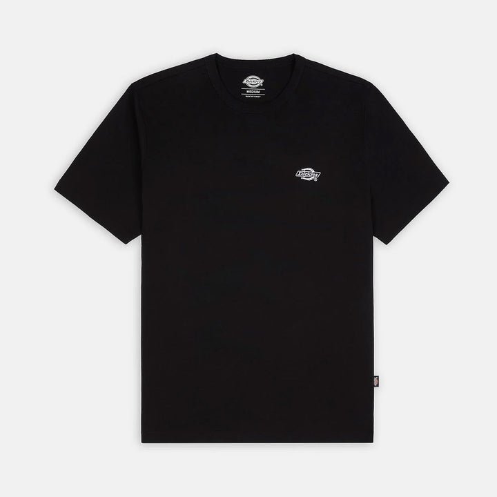DK0A4YAI - T-Shirt e Polo - Dickies