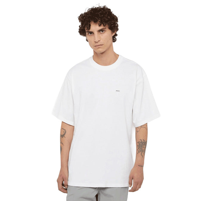 DK0A4Z4L - T-Shirt e Polo - Dickies