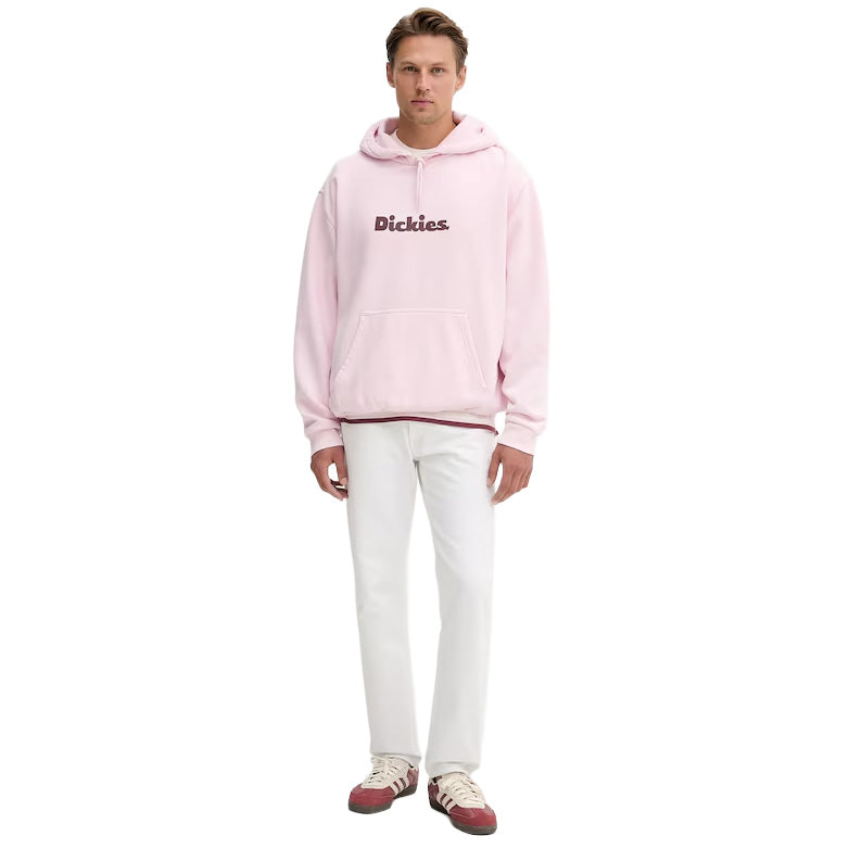 DK0A87NP - Felpe - Dickies