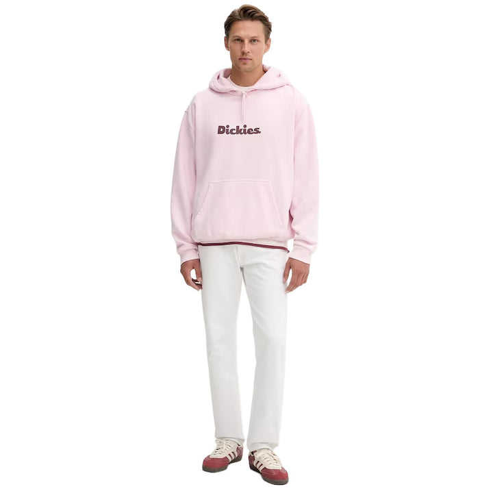 DK0A87NP - Felpe - Dickies