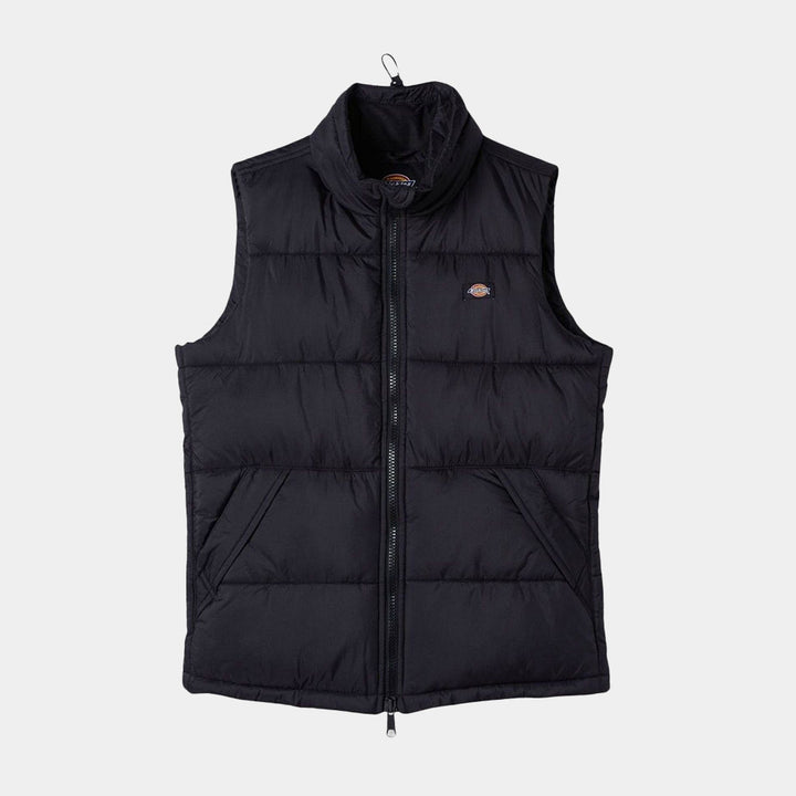 DK0A4Y2K - Giacche - Dickies