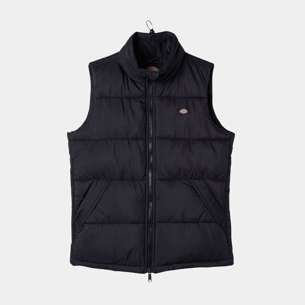 DK0A4Y2K - Giacche - Dickies