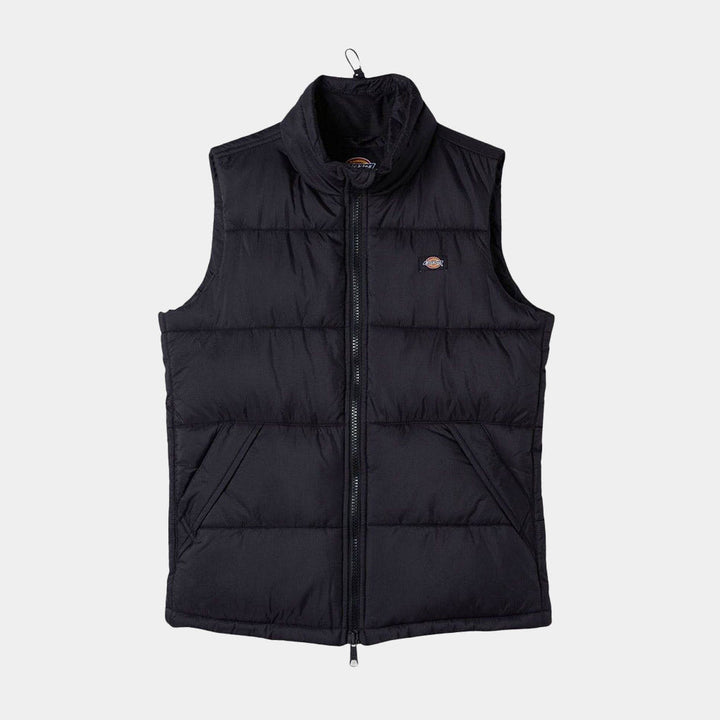 DK0A4Y2K - Giacche - Dickies