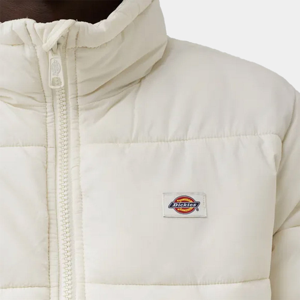 DK0A4XP2 - Jackets - Dickies