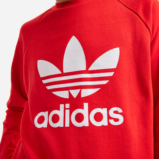 Felpe adidas sale napoli