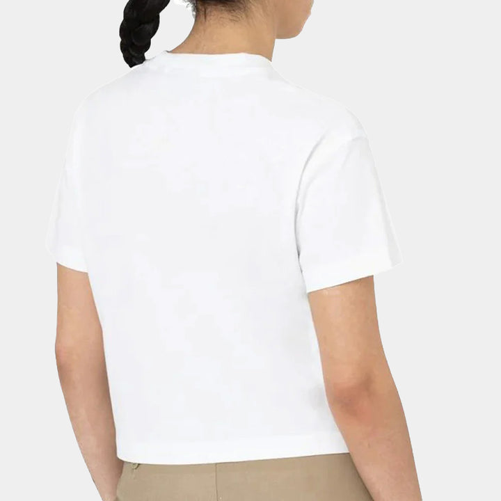 DK0A4Y8L - T-Shirt e Polo - Dickies